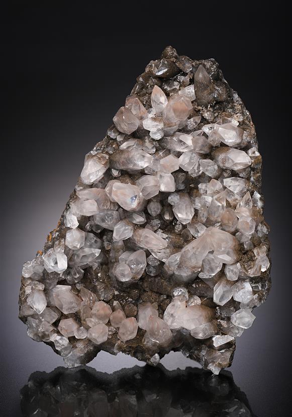 CC14825 specimen image