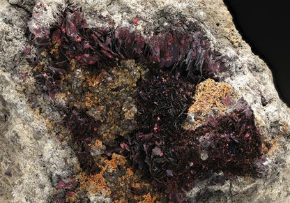 CC14873 specimen image