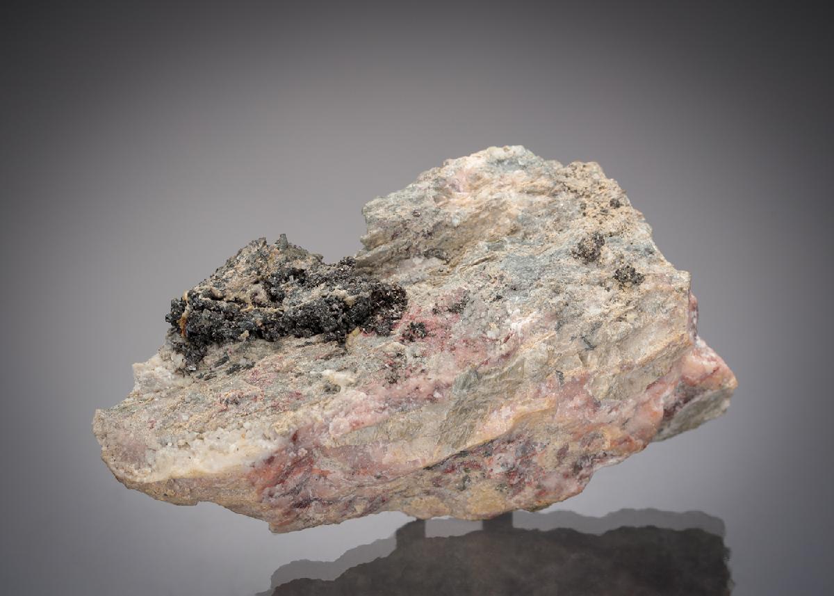 CC14877 specimen image