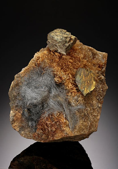 CC14884 specimen image