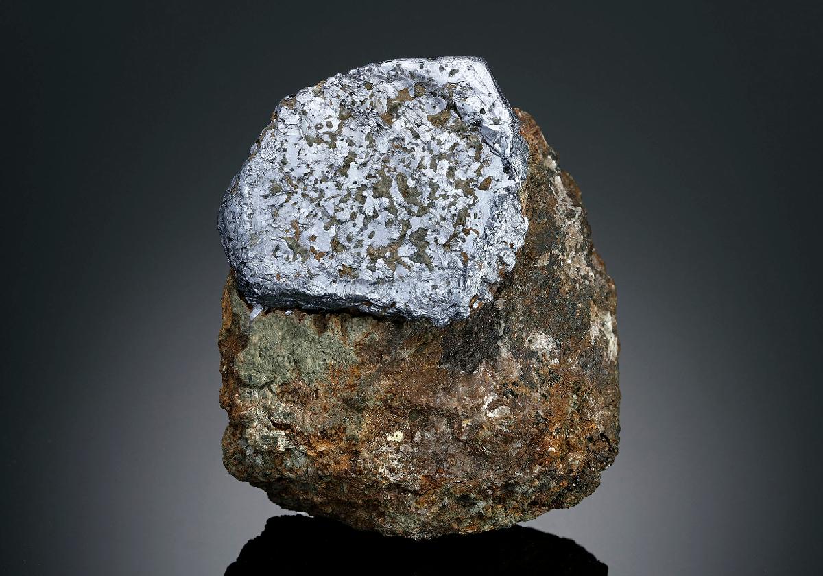 CC14890 specimen image