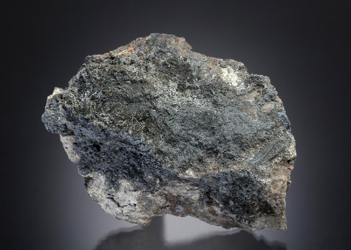 CC14896 specimen image
