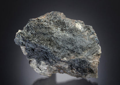CC14896 specimen image