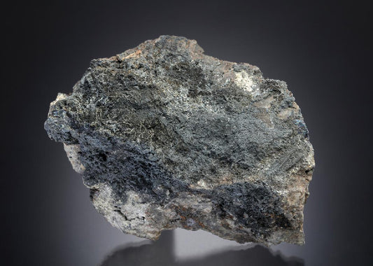 CC14896 specimen image