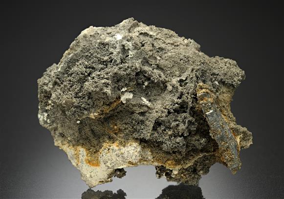 CC14913 specimen image