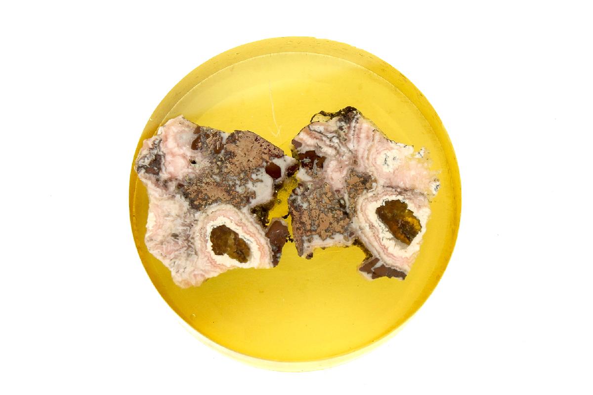 CC14916 specimen image