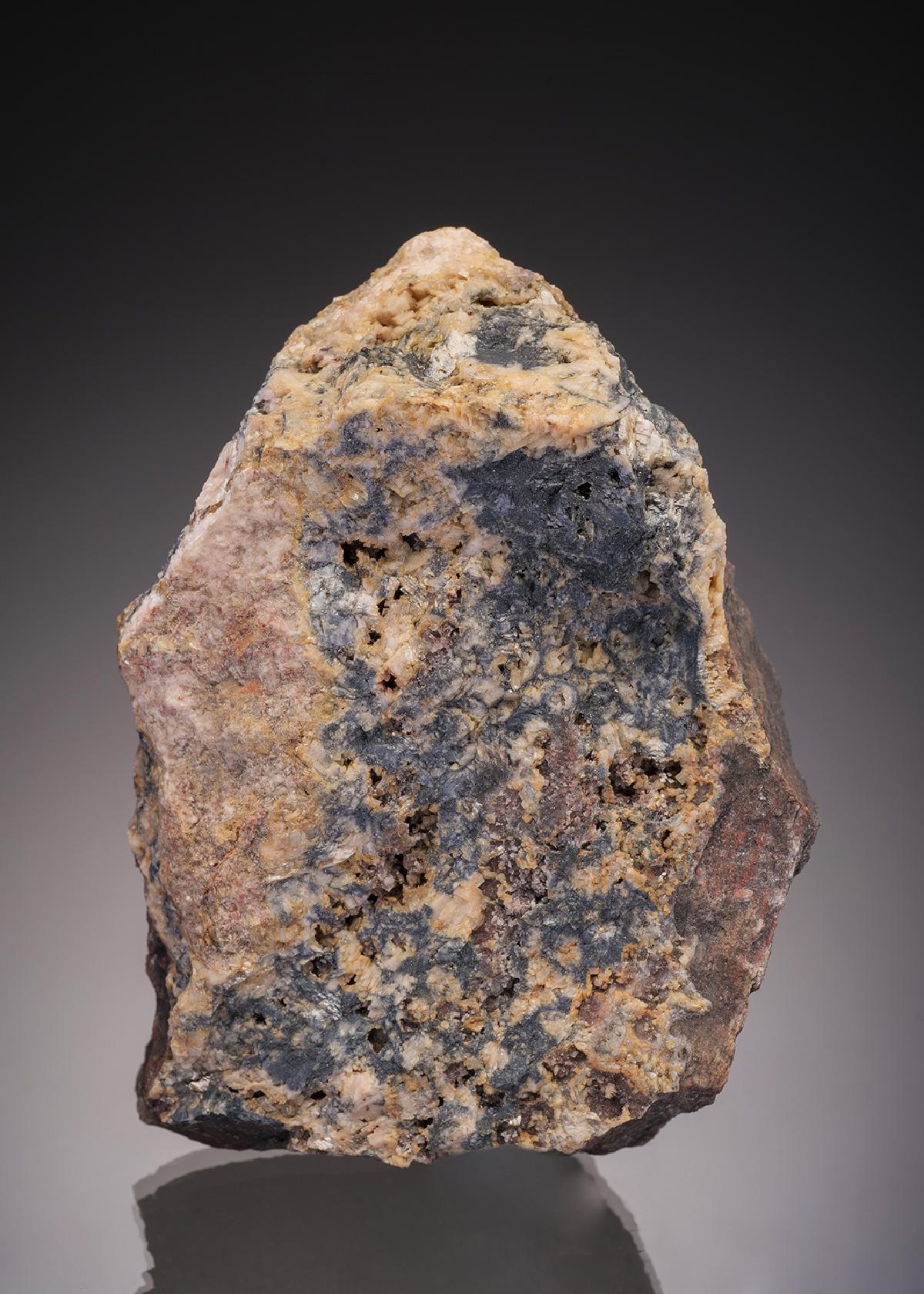 CC14920 specimen image