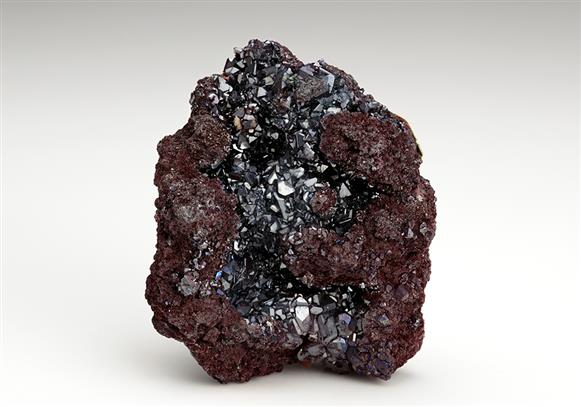 CC14926 specimen image