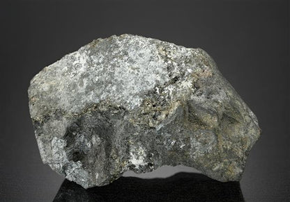 CC14942 specimen image