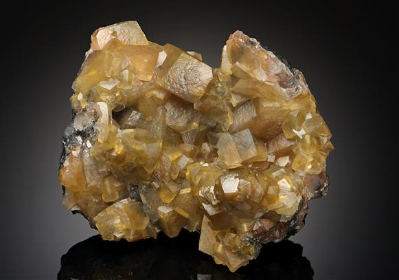 CC14952 specimen image