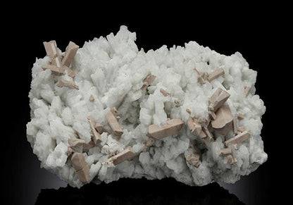 CC14967 specimen image