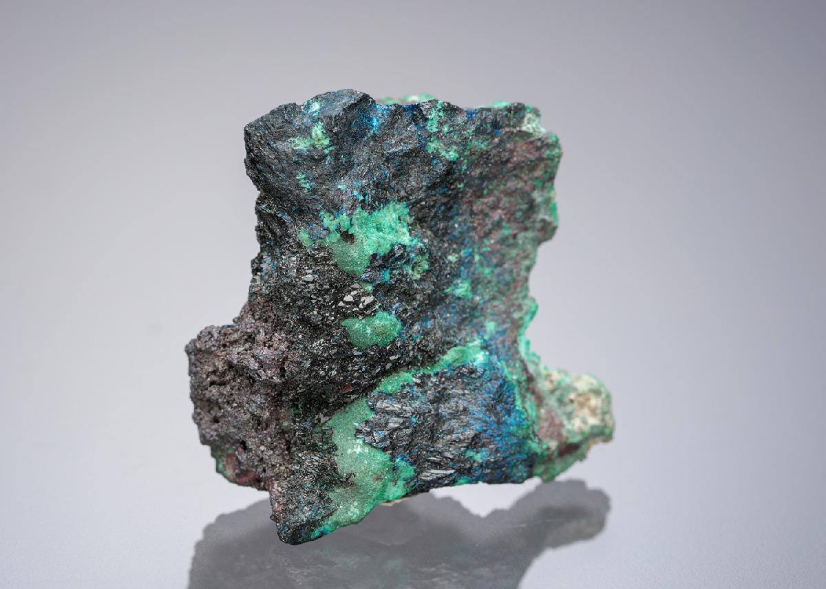 CC14969 specimen image