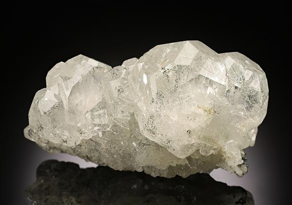 CC14974 specimen image