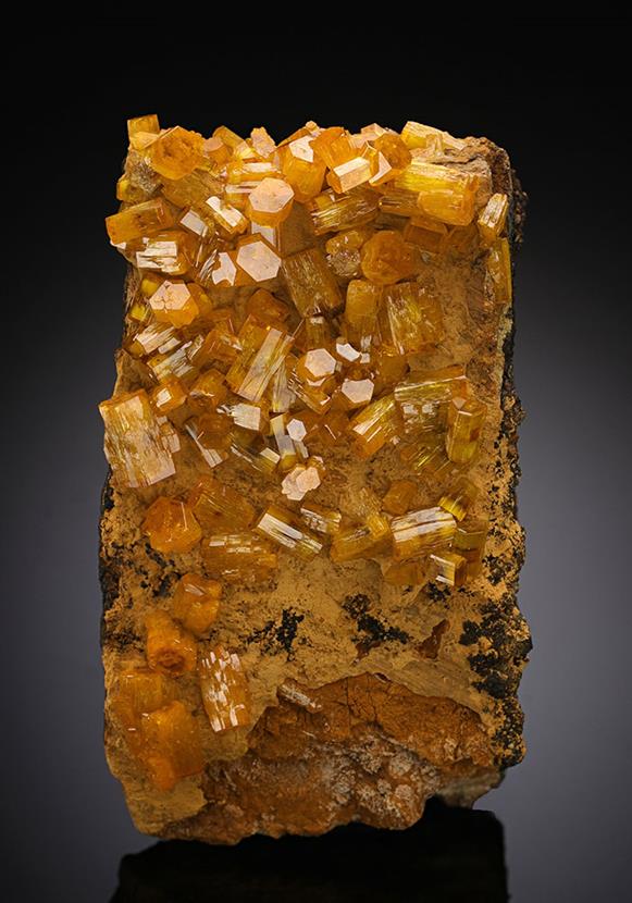 CC14980 specimen image