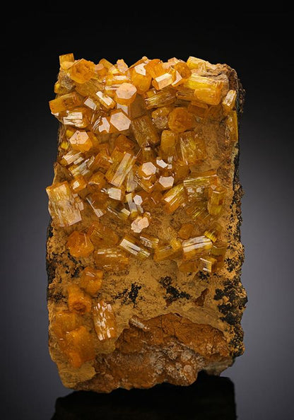 CC14980 specimen image