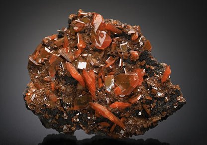 CC14984 specimen image