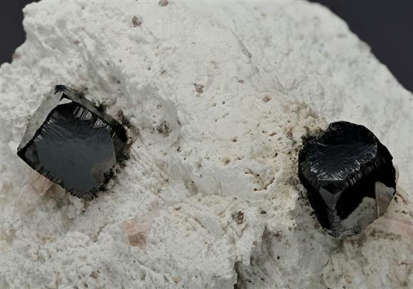 CC14999 specimen image