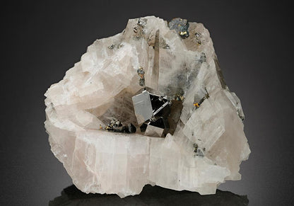 CC15002 specimen image