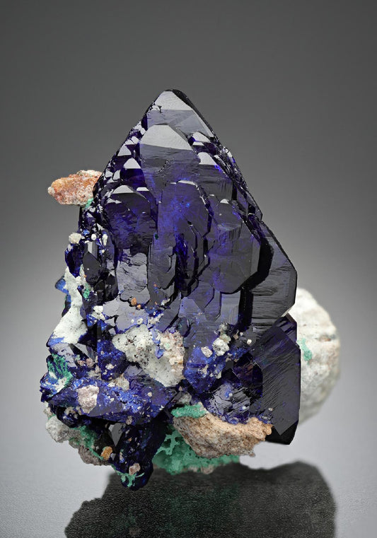 CC15019 specimen image