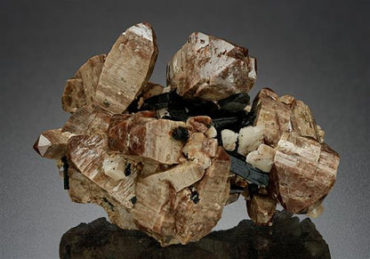 CC15025 specimen image