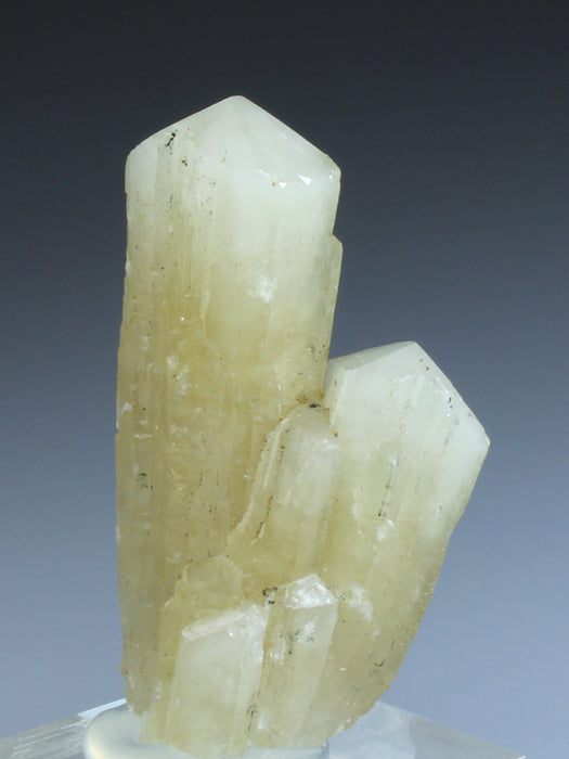 CC1502 specimen image