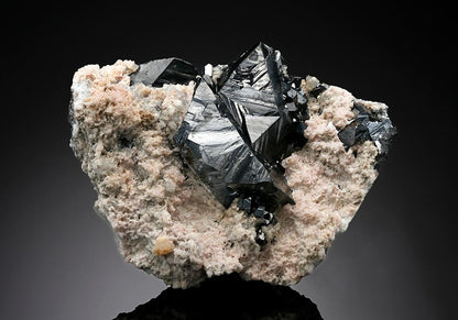 CC15042 specimen image