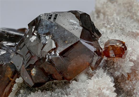 CC15050 specimen image