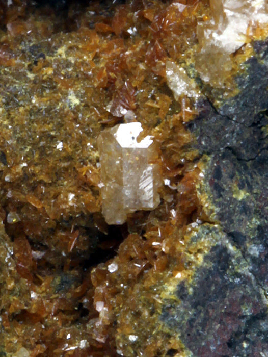 CC1505 specimen image