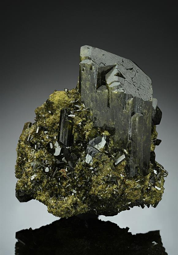 CC15071 specimen image