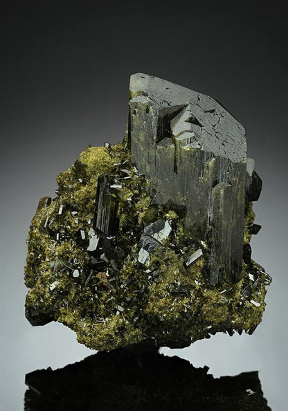 CC15071 specimen image