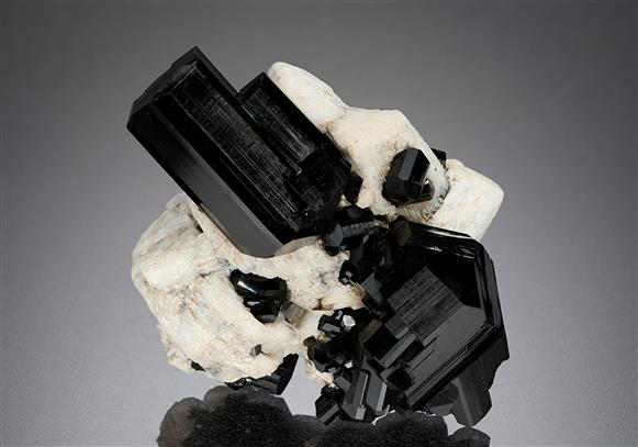 CC15078 specimen image