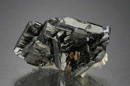 CC15081 specimen image