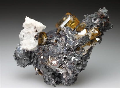 CC1508 specimen image