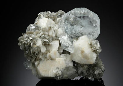 CC15095 specimen image