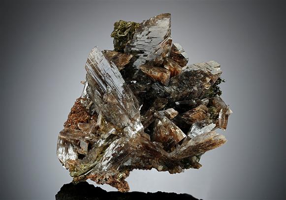 CC15096 specimen image