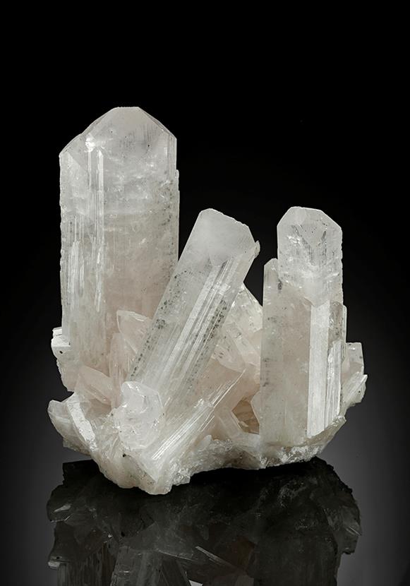 CC15120 specimen image