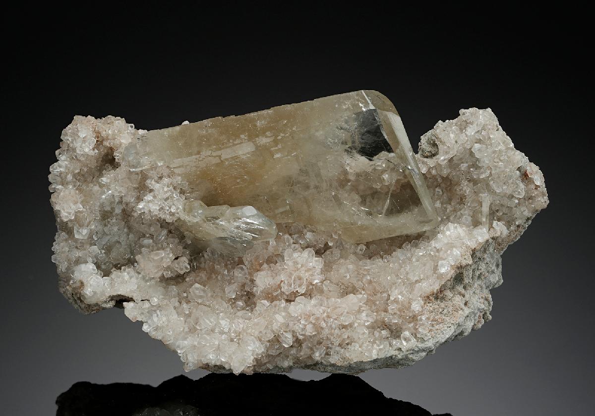 CC15125 specimen image