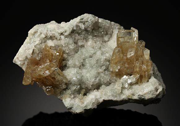 CC15131 specimen image