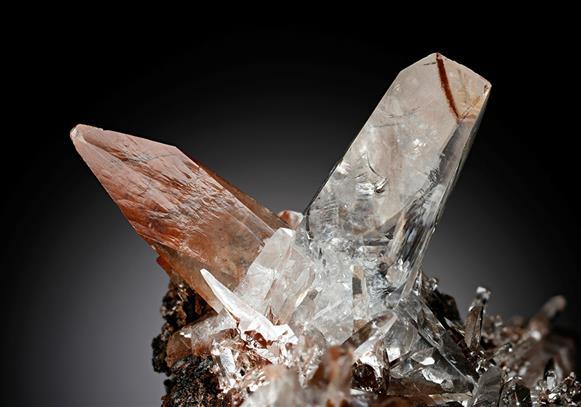 CC15139 specimen image