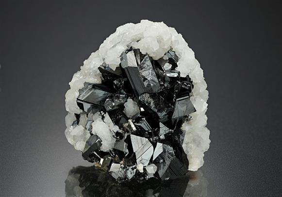CC15142 specimen image