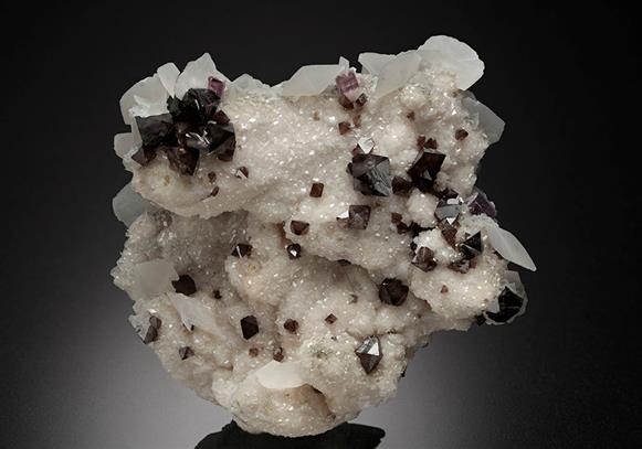 CC15165 specimen image