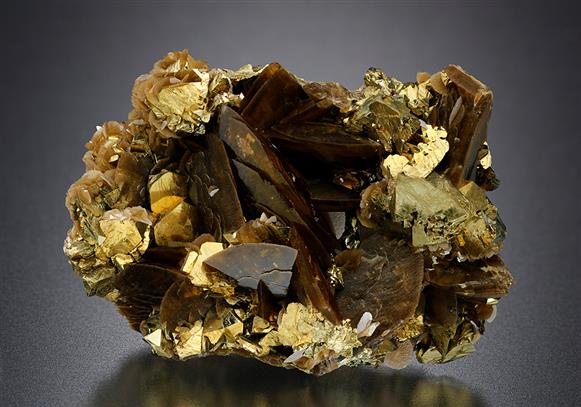 CC15191 specimen image