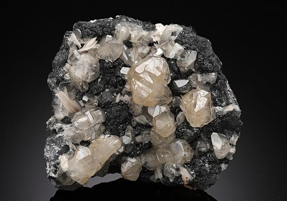 CC15194 specimen image