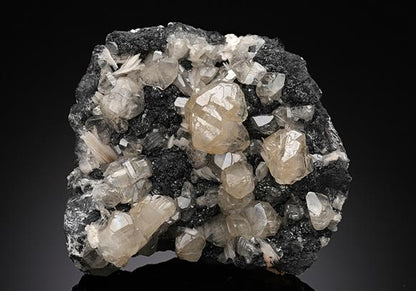 CC15194 specimen image