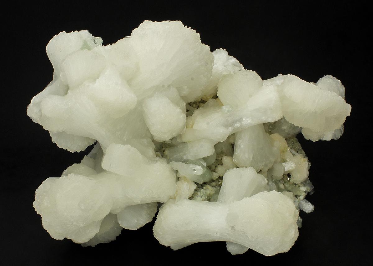 CC15204 specimen image