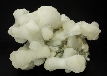 CC15204 specimen image