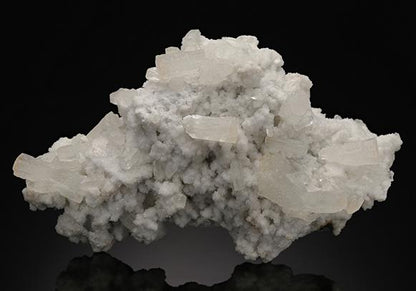 CC15213 specimen image