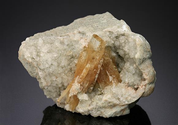 CC15215 specimen image