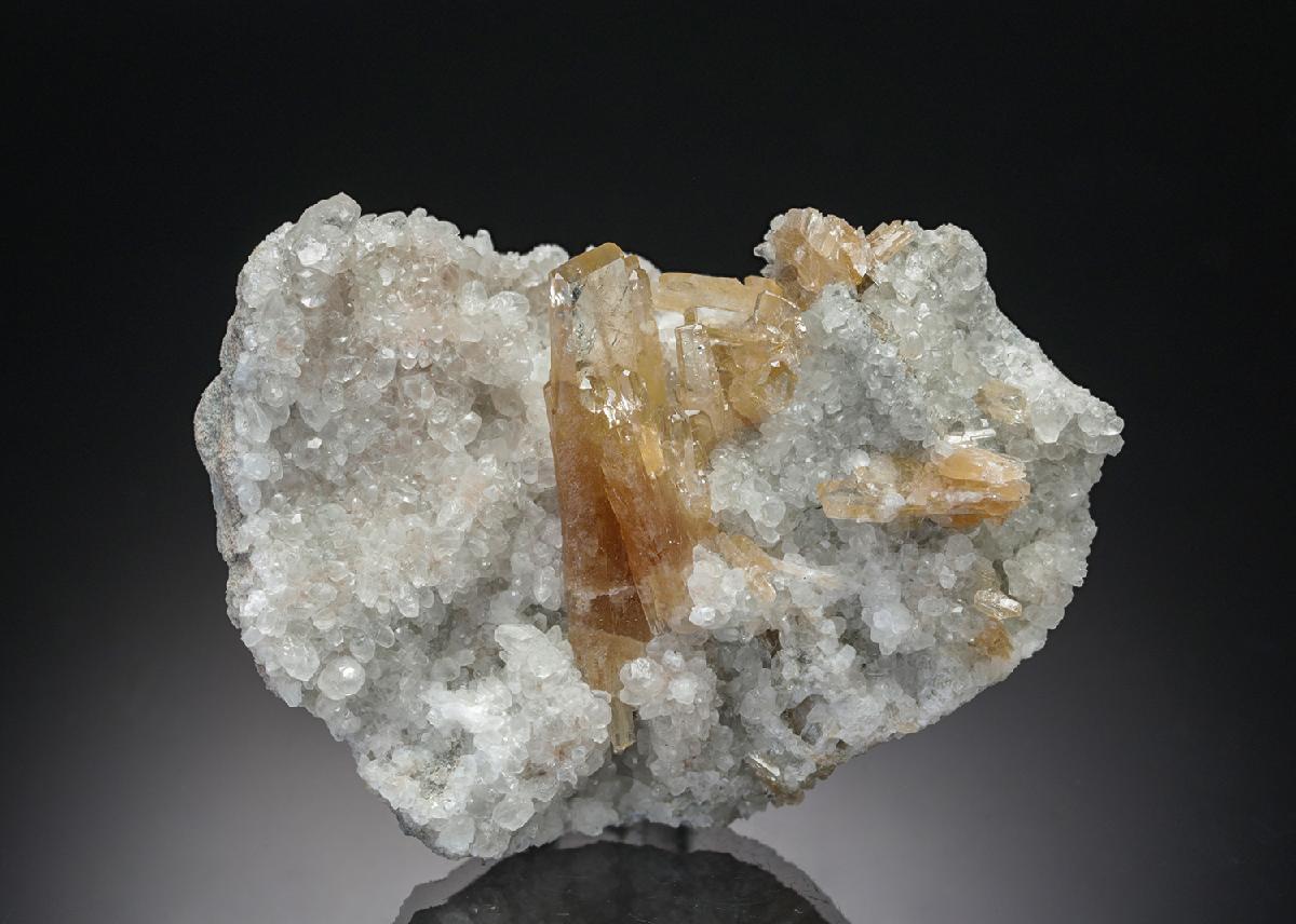 CC15216 specimen image