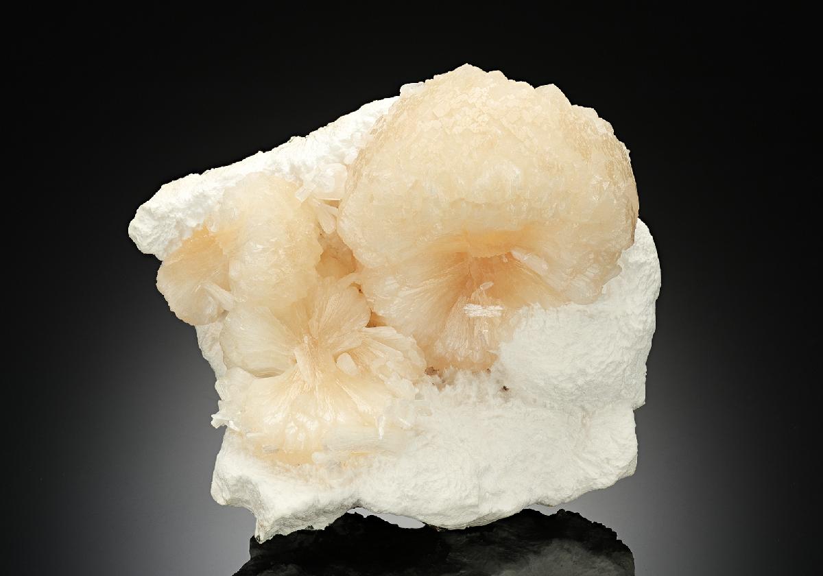 CC15229 specimen image